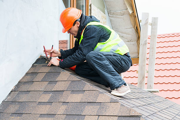 Roof Gutter Cleaning in Woodstock, GA
